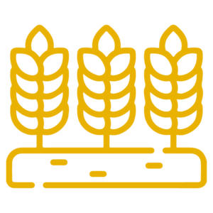 Agriculture - URM